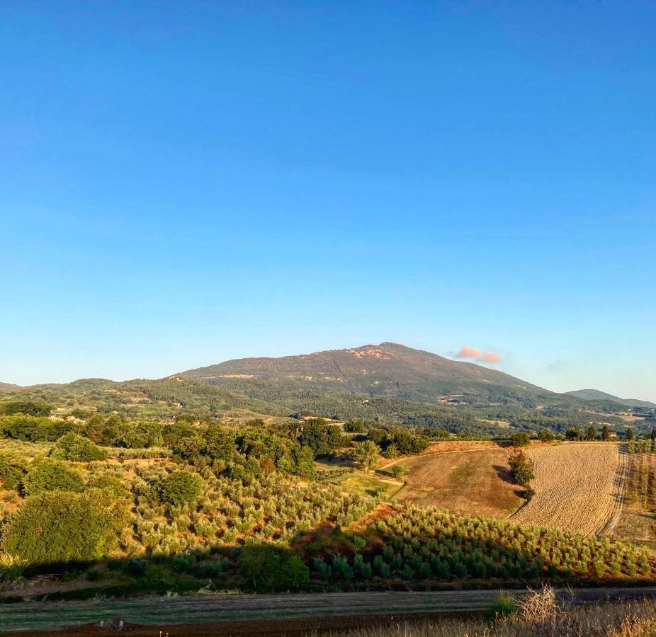 B&B Locanda Toscanini Le Piazze Экстерьер фото