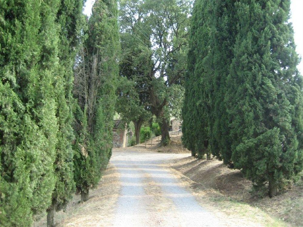 B&B Locanda Toscanini Le Piazze Экстерьер фото