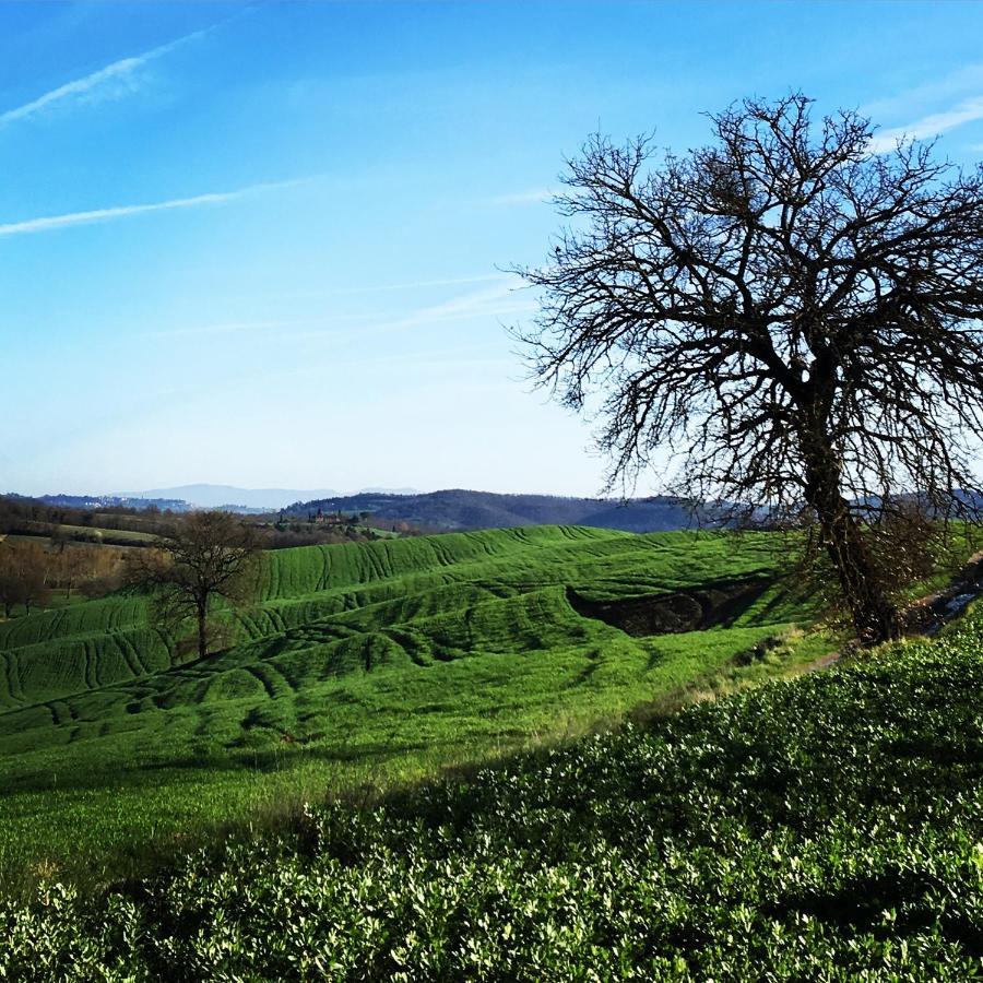 B&B Locanda Toscanini Le Piazze Экстерьер фото